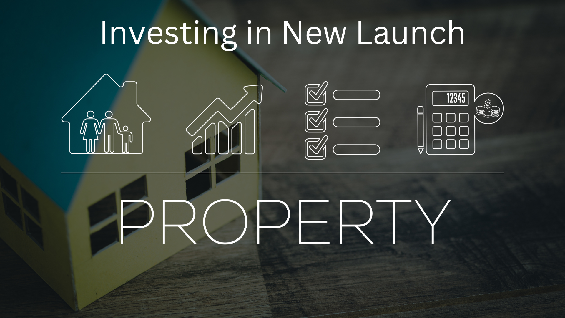 Investing in New Launch