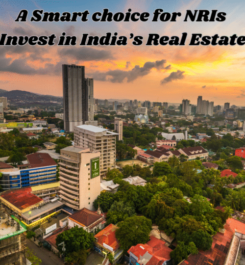 NRIs should invest in India